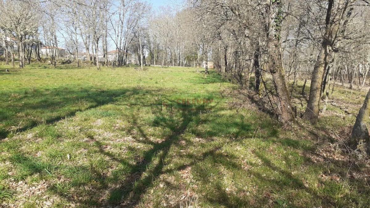 Terreno en venta en Paderne de Allariz, Ourense photo 4
