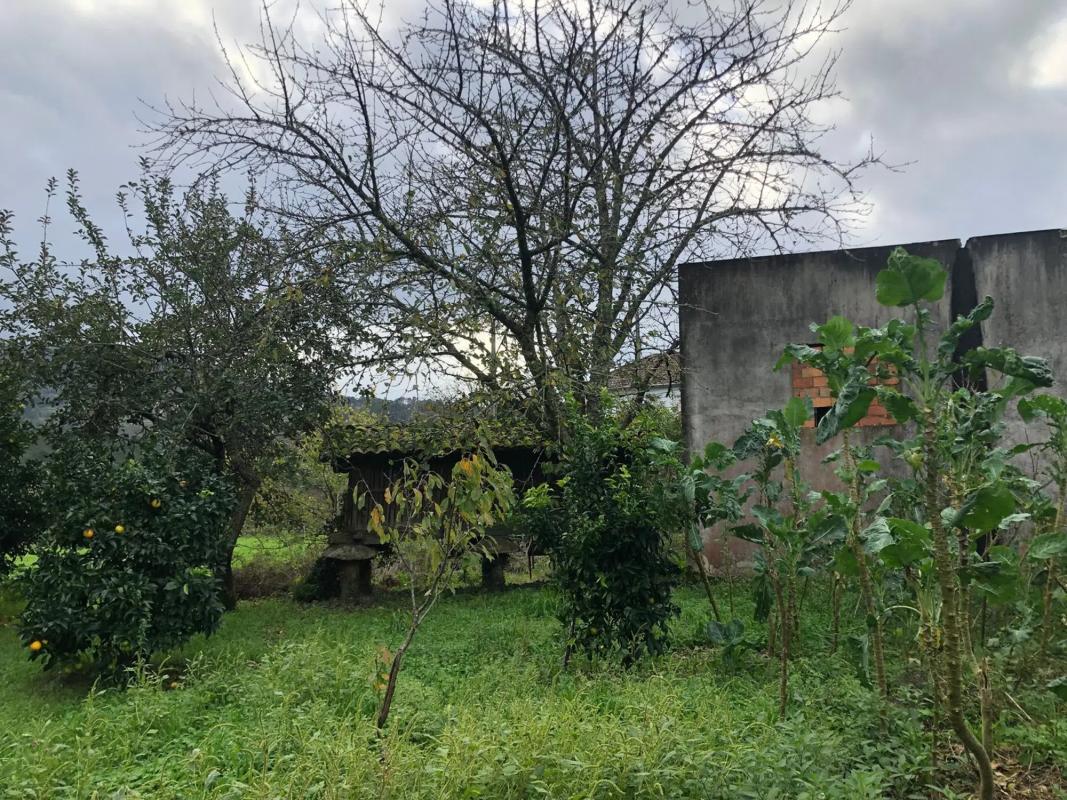 Land for sale in Padrenda, Ourense photo 3