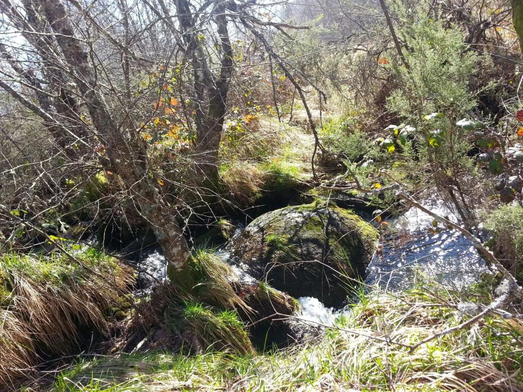 Terreno en venta en Parada De Sil, Ourense photo 2