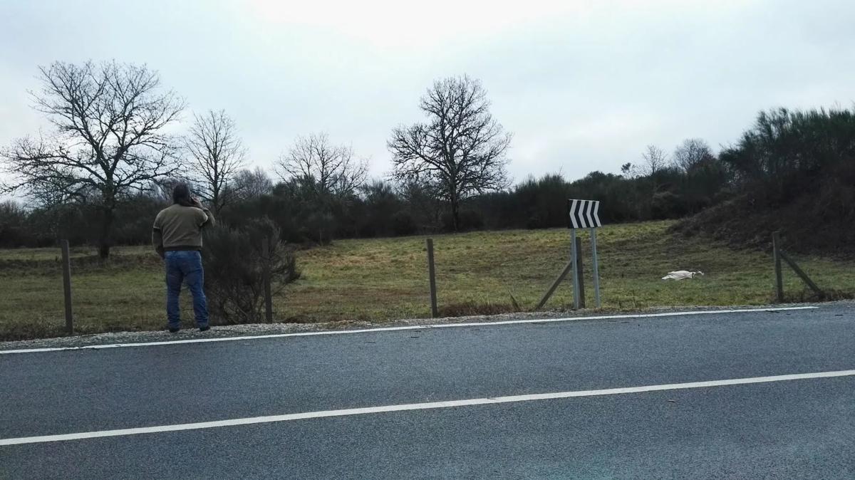 Terreno en venta en Parada De Sil, Ourense photo 2