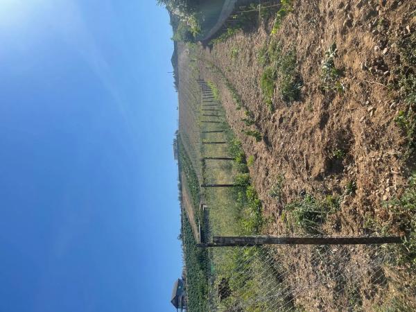 Terreno en calle La mata s/n photo 2