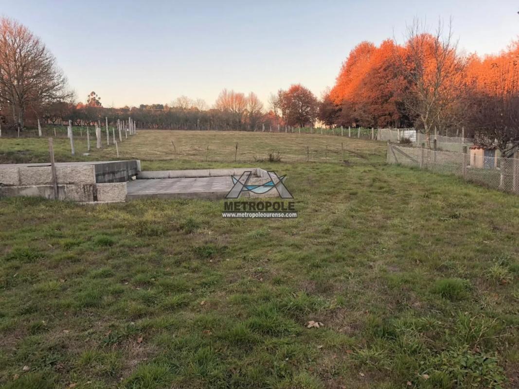 Terreno en venta en Piñor, Ourense photo 4