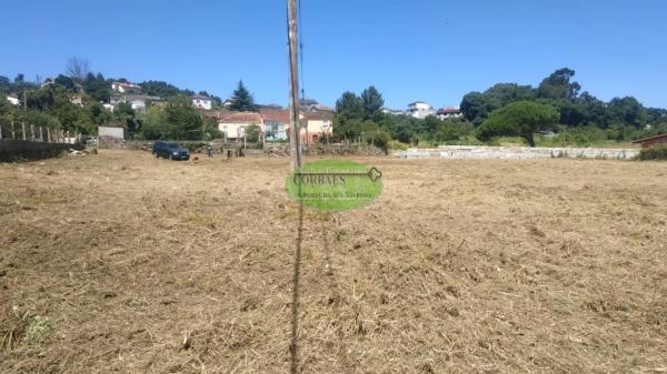 Terreno en Piñor photo 2