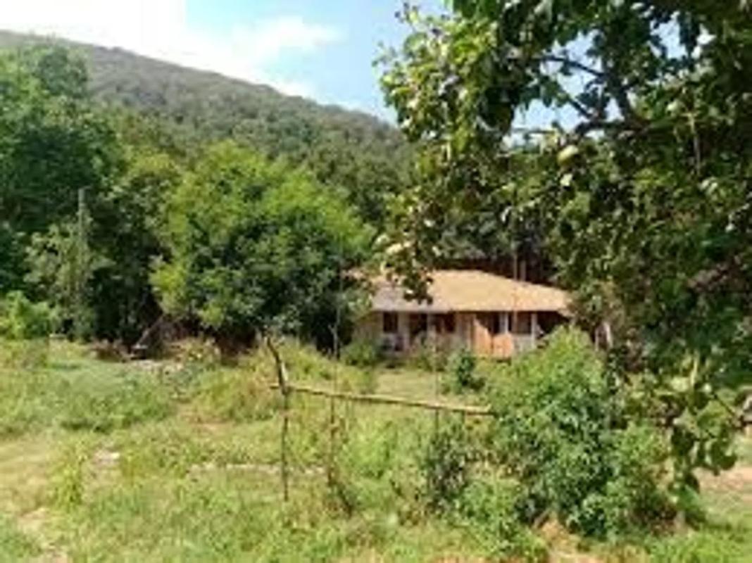 Terreno en venta en Puebla de Trives, Ourense photo 3