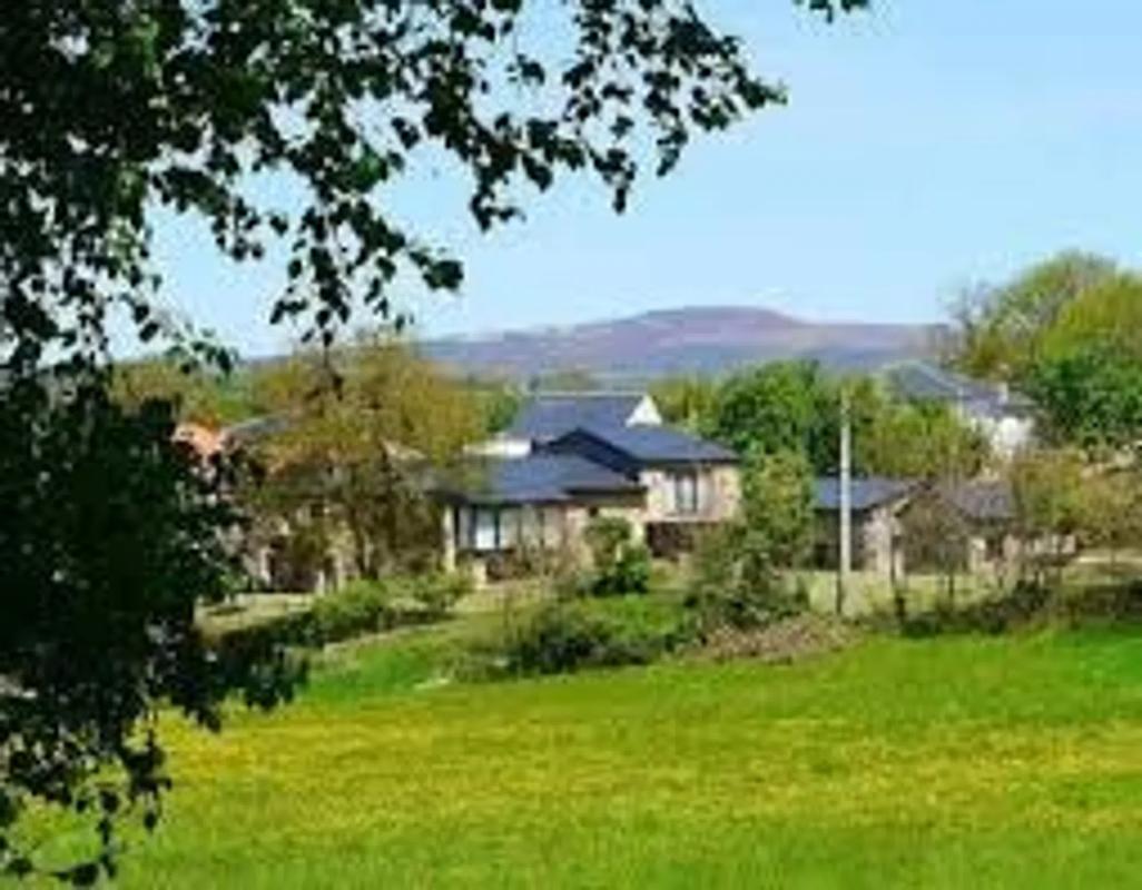 Land for sale in Puebla de Trives, Ourense photo 4