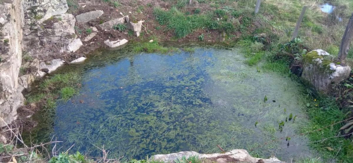 Terreno en venta en Puebla de Trives, Ourense photo 2