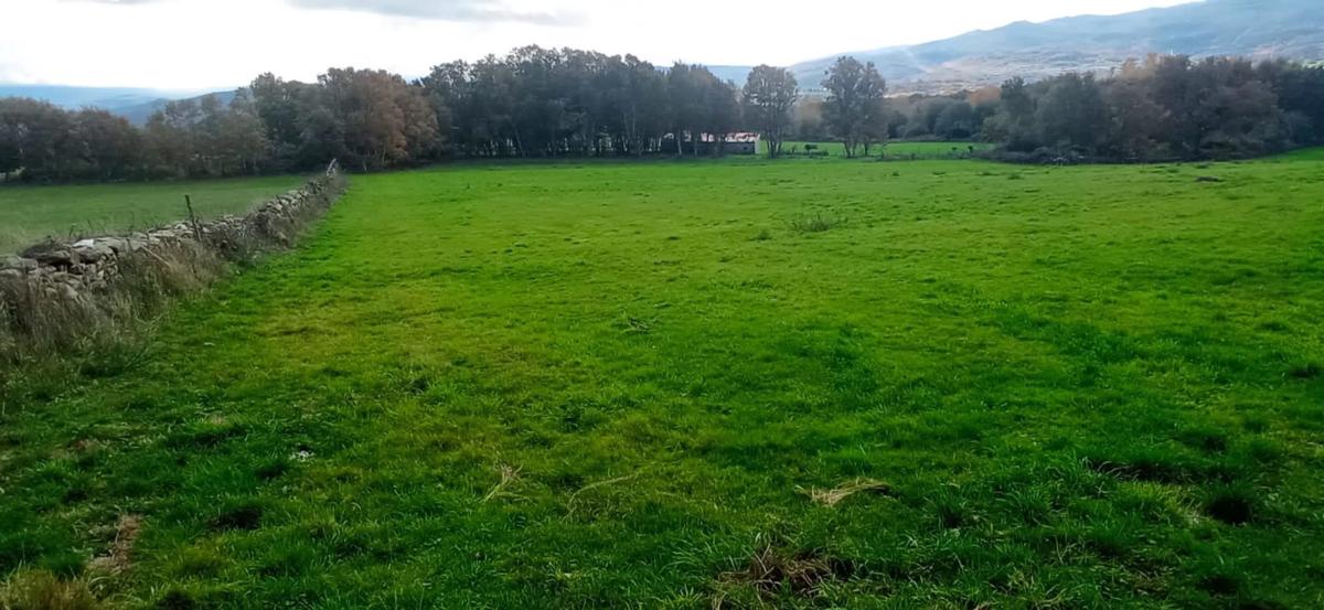 Terreno en venta en Puebla de Trives, Ourense photo 5