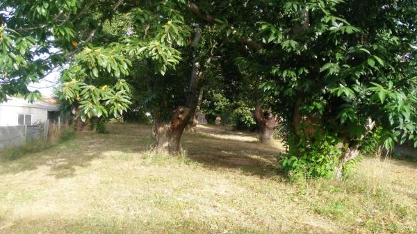 Terreno en camino Pareisas, 1 photo 3