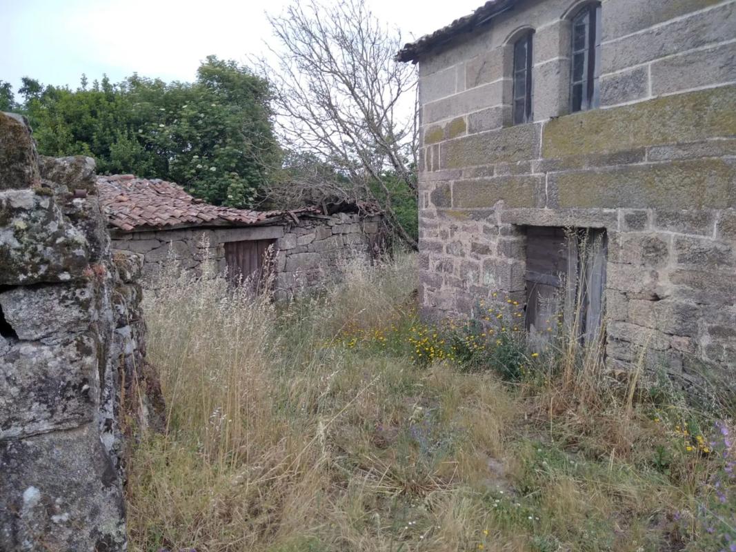 Terreno en venta en Punxin, Ourense photo 3