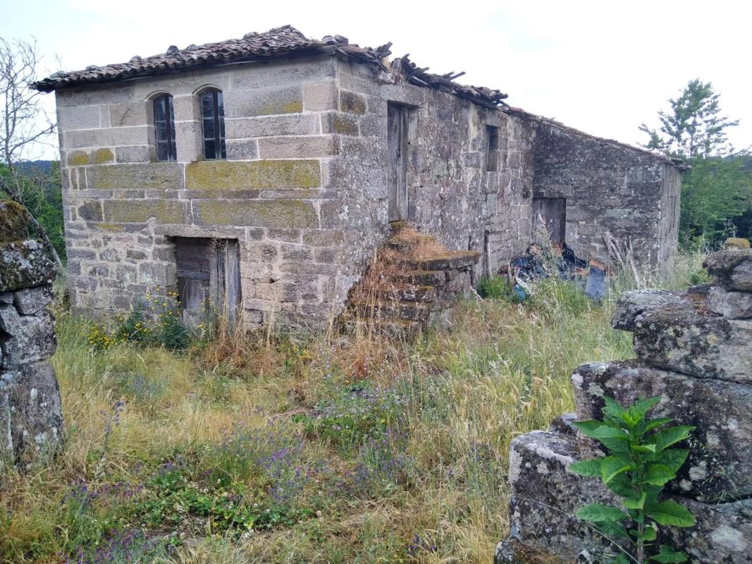 Terreno en venta en Punxin, Ourense photo 5