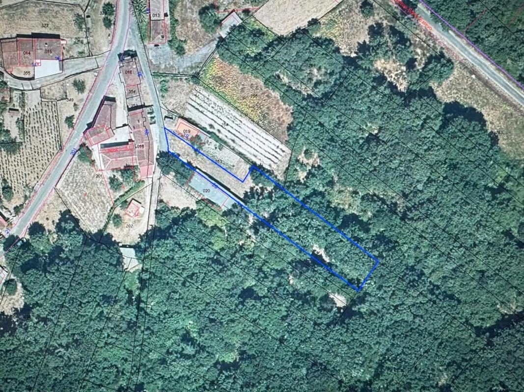 Terreno en venta en Punxin, Ourense photo 1