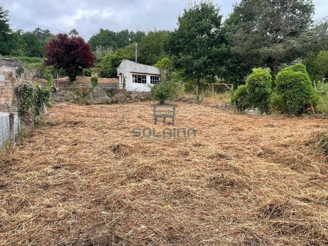 Land for sale in Punxin, Ourense photo 1
