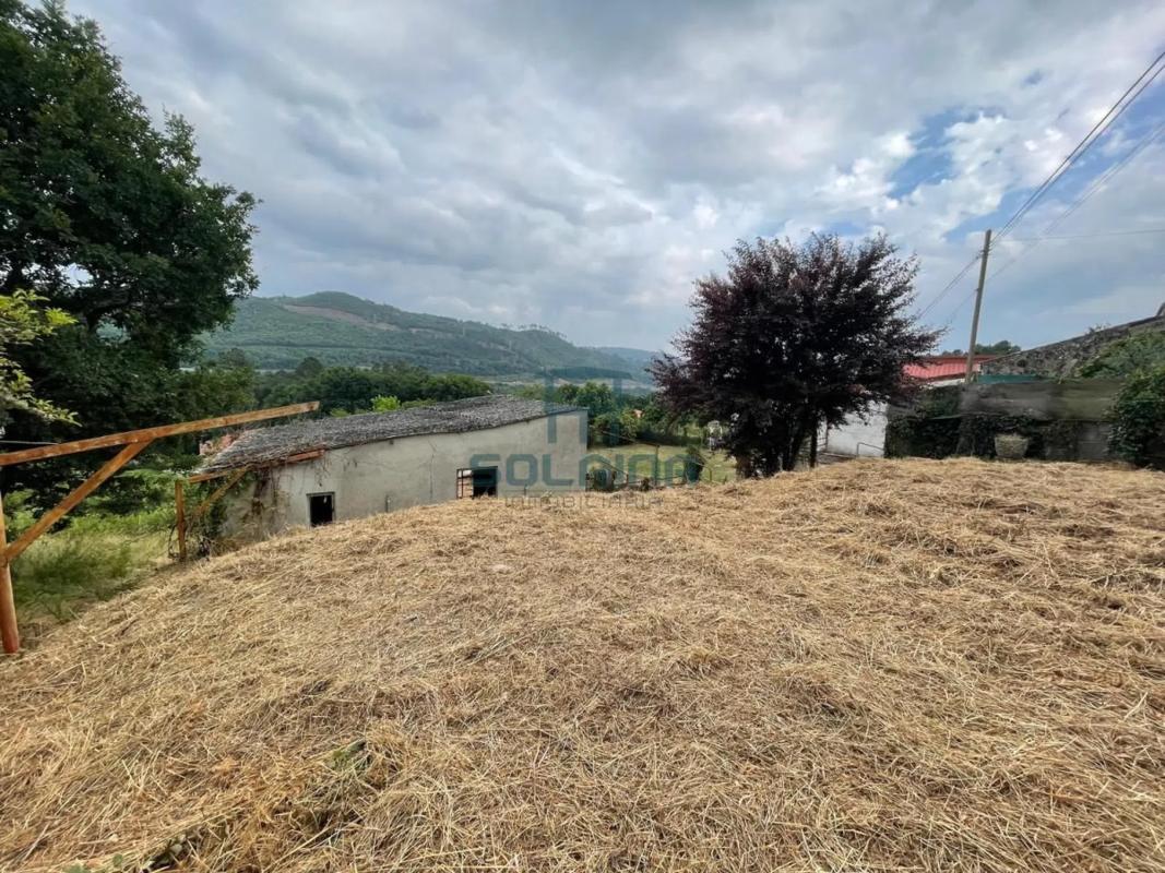 Land for sale in Punxin, Ourense photo 3