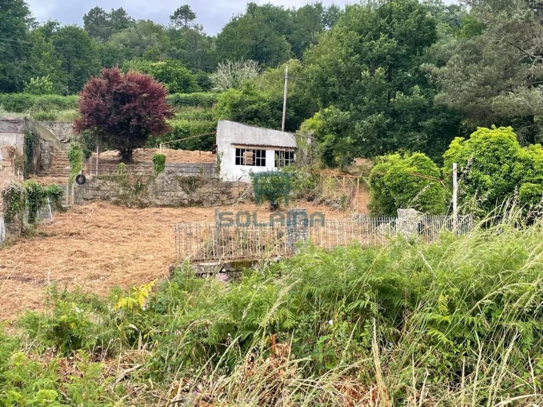 Land for sale in Punxin, Ourense photo 4