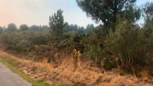 Terreno en camino Paraje Touzas s/n None photo 1