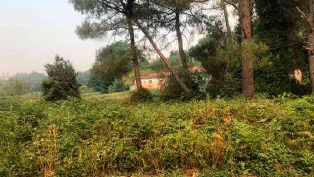 Terreno en venta en Quintela de Leirado, Ourense photo 5