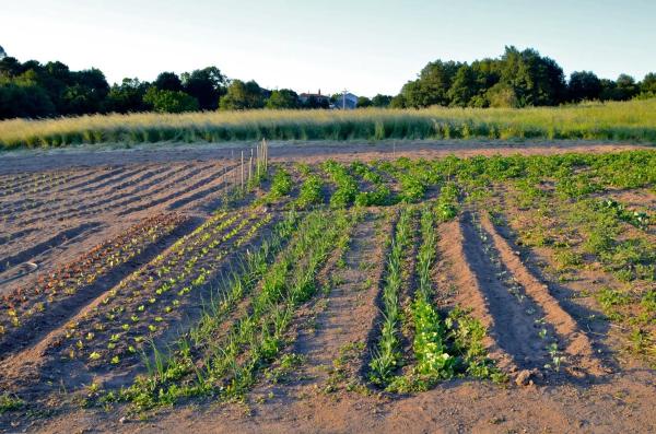 Terreno en Rairiz de Veiga photo 1