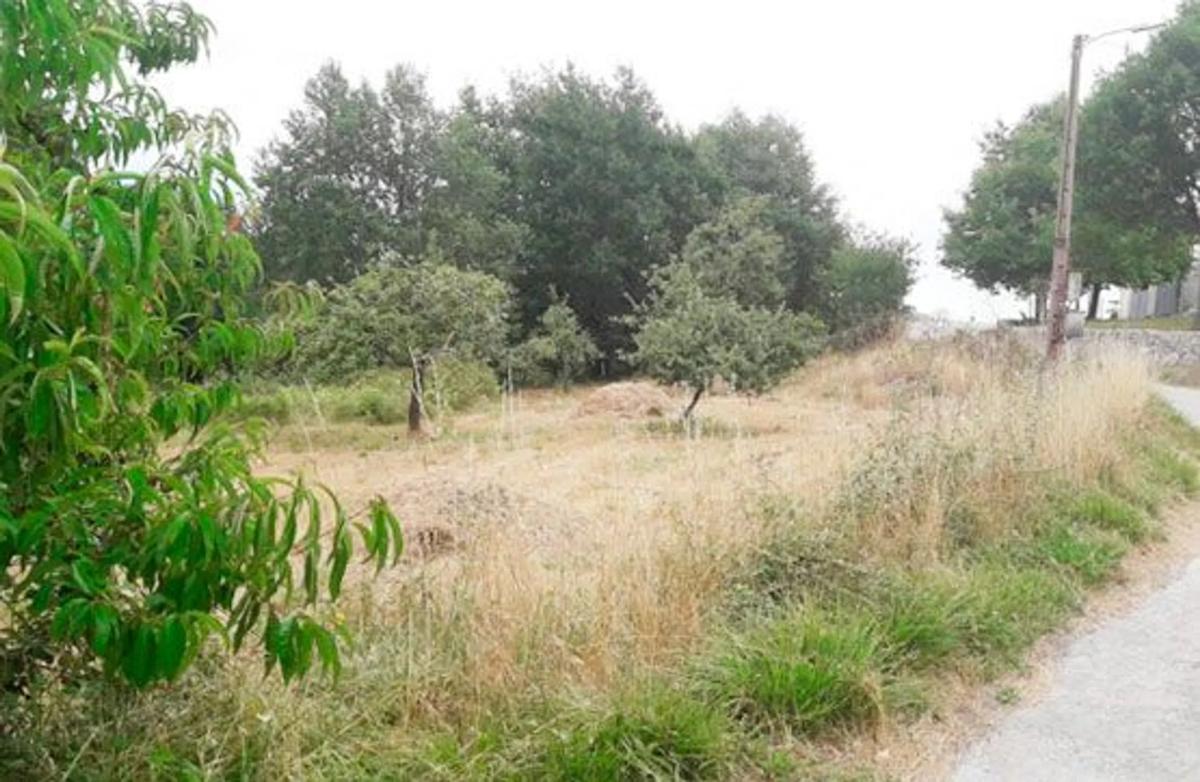 Terreno en venta en Ramiras, Ourense photo 2