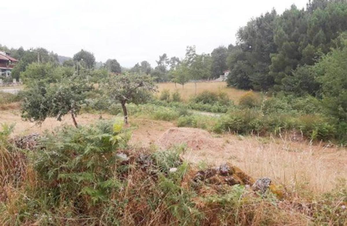 Terreno en venta en Ramiras, Ourense photo 3