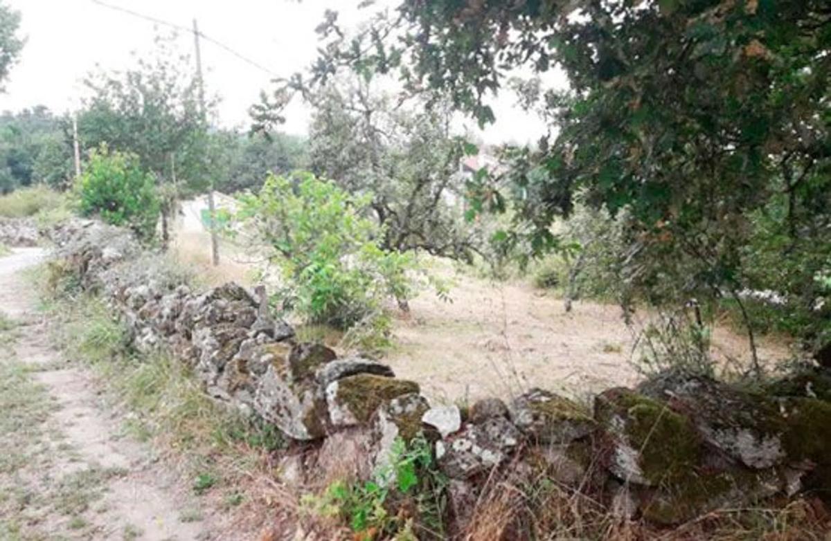 Terreno en venta en Ramiras, Ourense photo 4