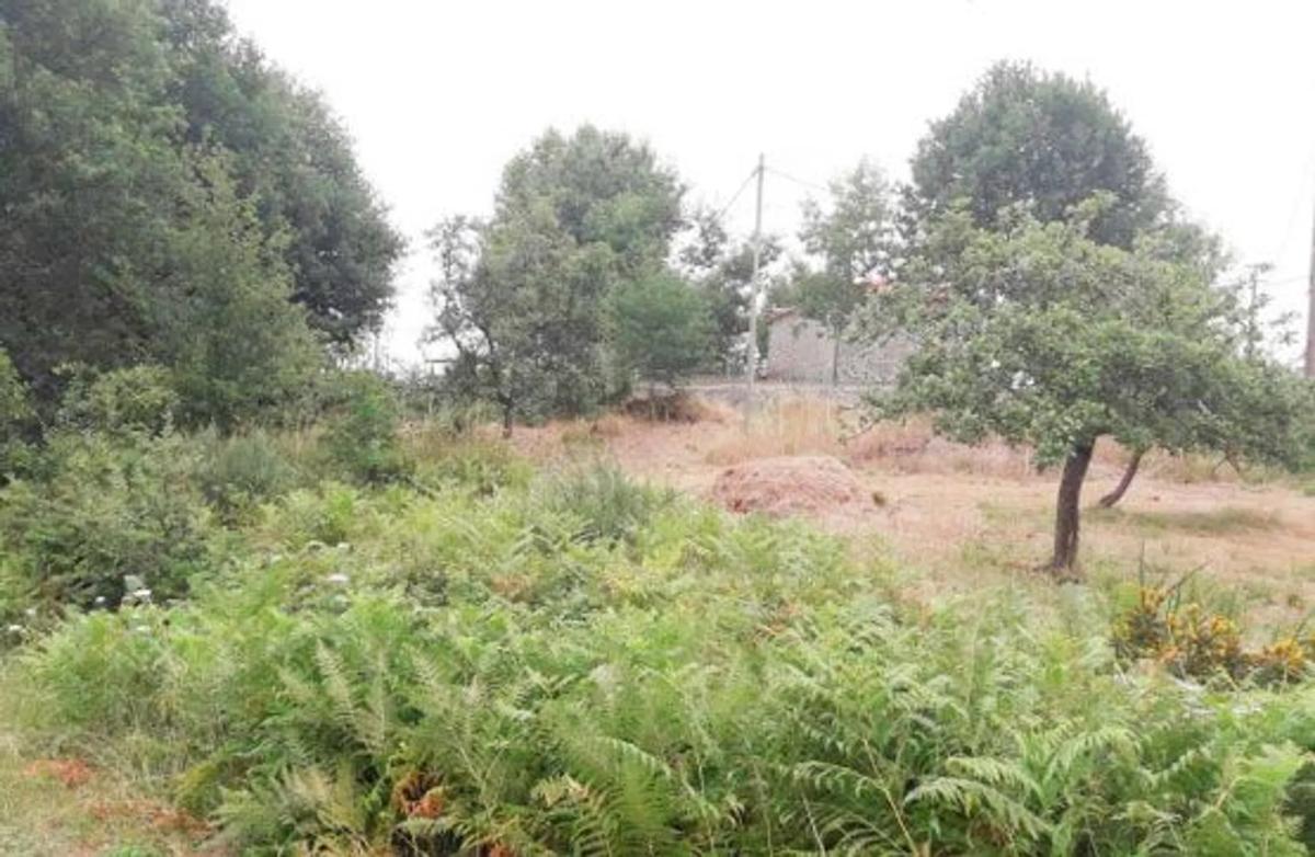 Terreno en venta en Ramiras, Ourense photo 5