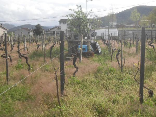 Terreno en camino do Val, 3 thumbnail 1