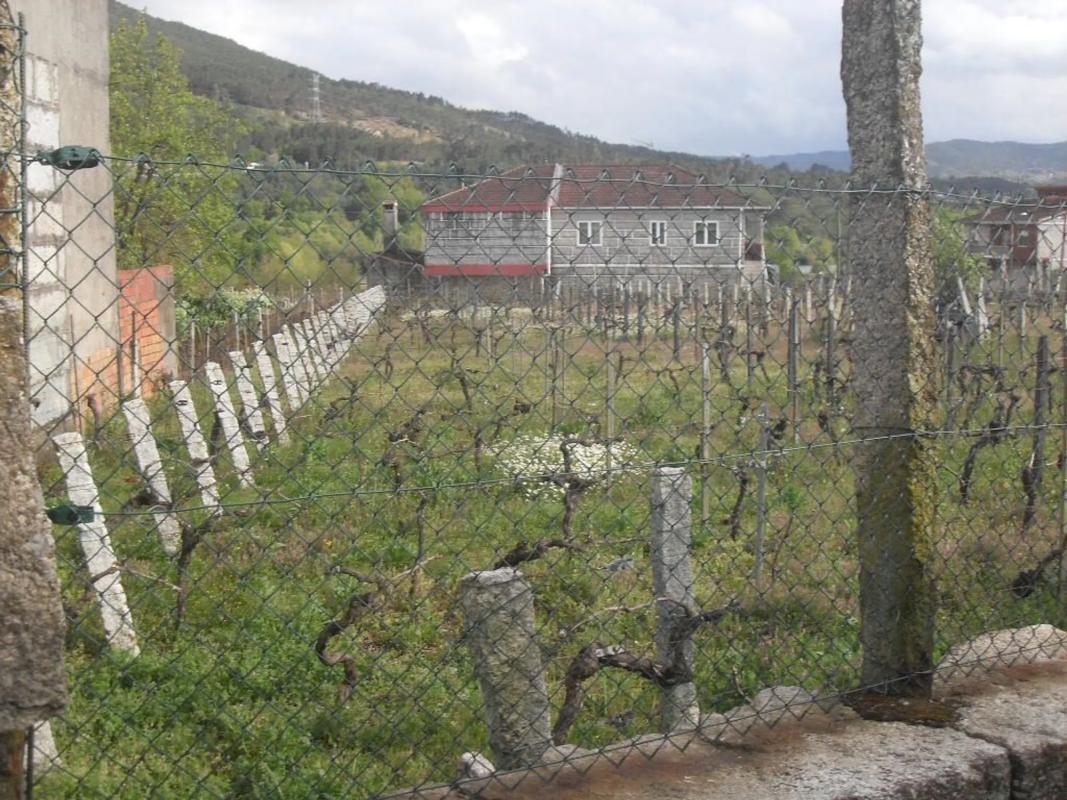 Działka na sprzedaż w Ribadawia, Ourense photo 3