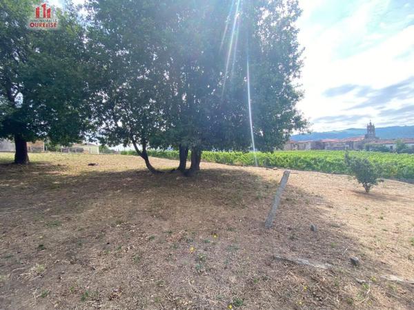 Terreno en Ribadavia photo 4