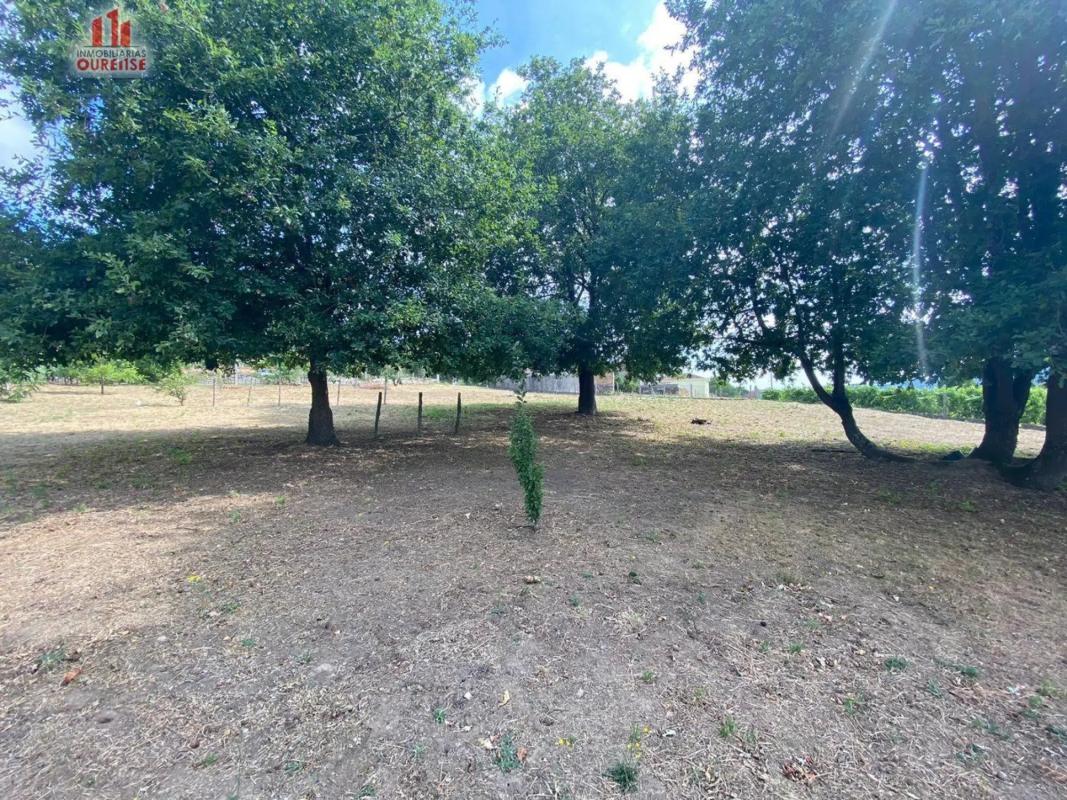 Terreno en venta en Ribadavia, Ourense photo 5