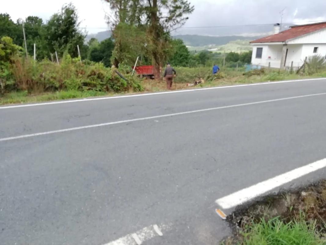 Terreno en venta en Ribadavia, Ourense photo 2