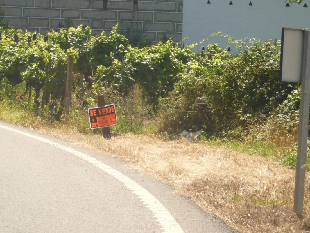 Terreno en venta en Ribadavia, Ourense photo 3