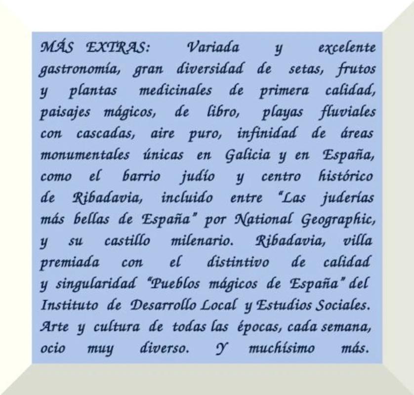 Terreno en venta en Ribadavia, Ourense photo 4