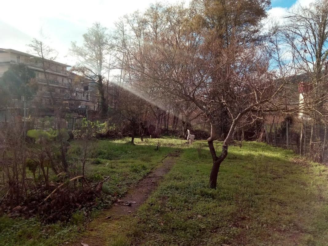 Terreno en venta en Ribadavia, Ourense photo 2