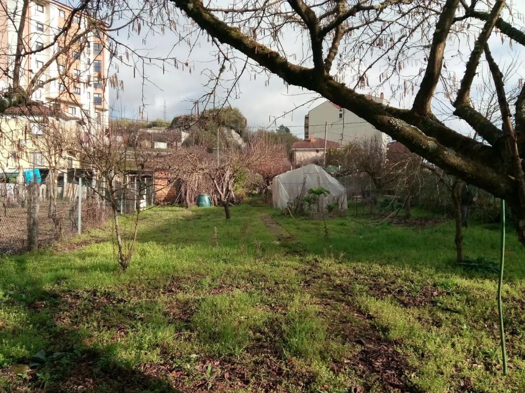 Terreno en venta en Ribadavia, Ourense photo 5