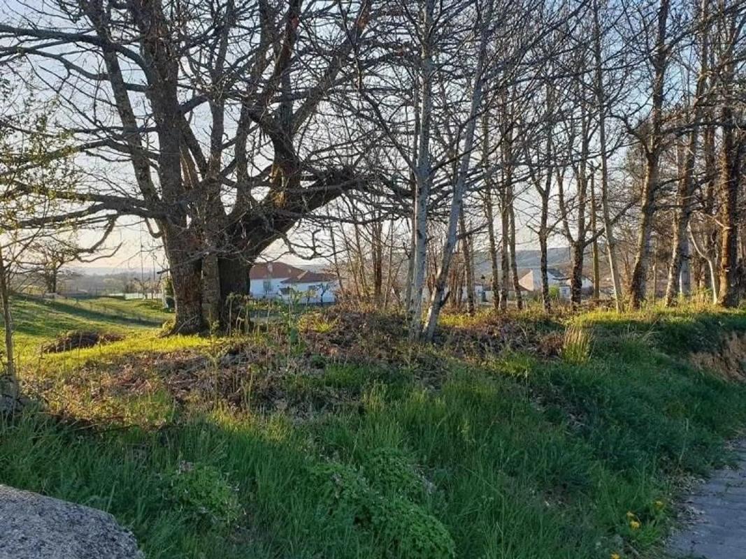 Terreno en venta en Riós, Ourense photo 2