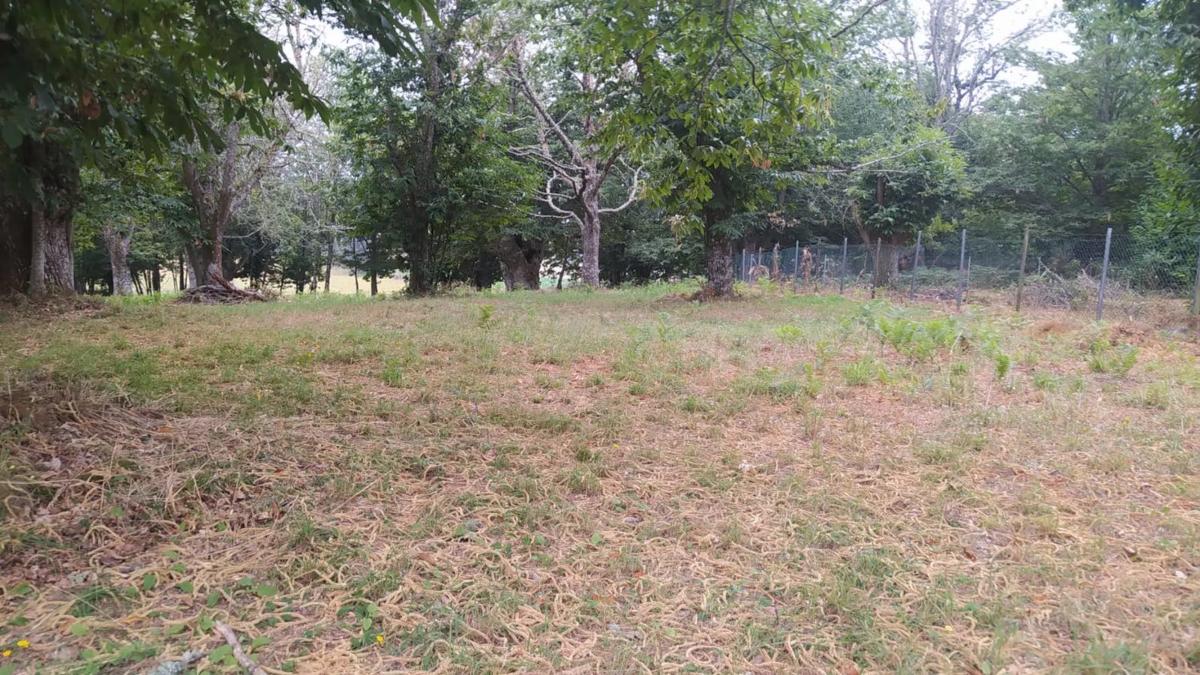 Terreno en venta en Riós, Ourense photo 2