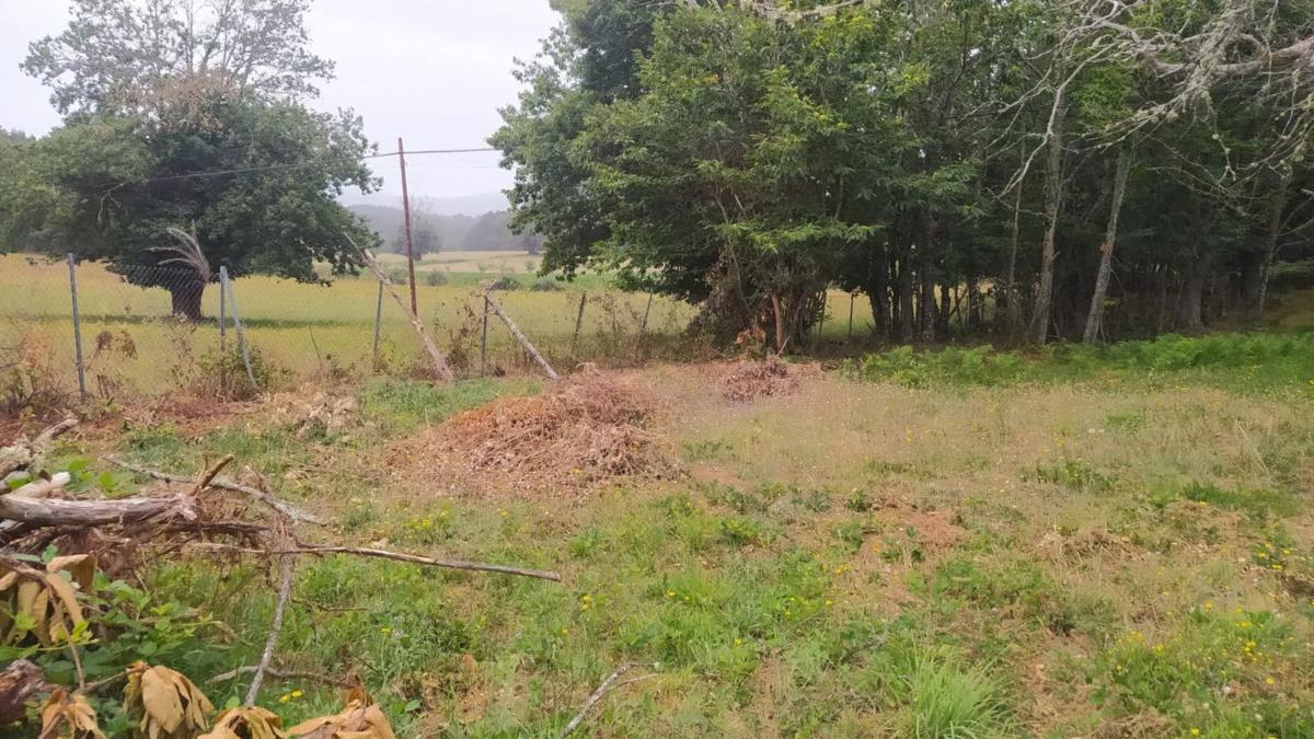 Terreno en venta en Riós, Ourense photo 3