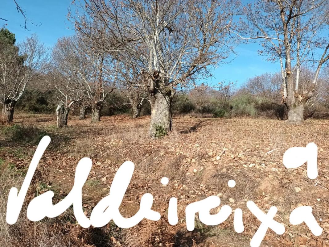Terreno en venta en Rubia, Ourense photo 1