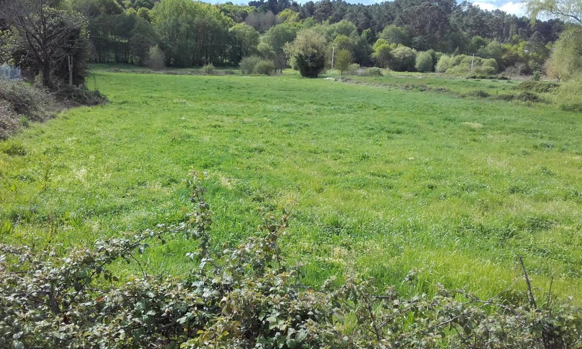 Terreno en venta en San Amaro, Ourense photo 1