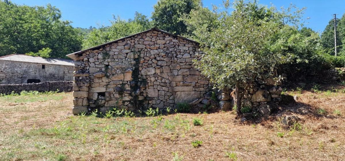 Terreno en venta en San Amaro, Ourense photo 1
