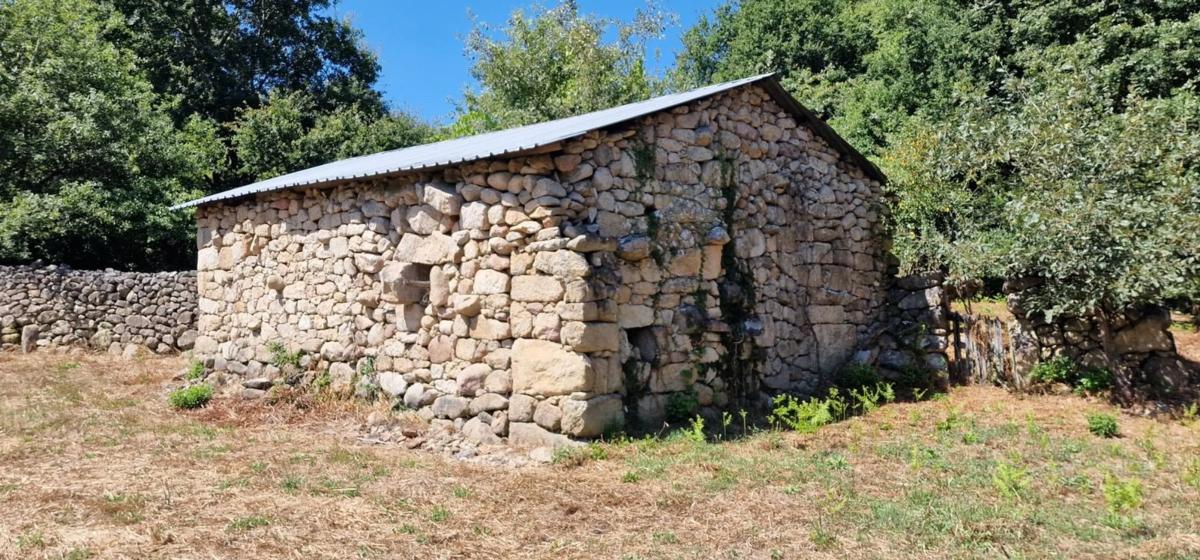 Terreno en venta en San Amaro, Ourense photo 2