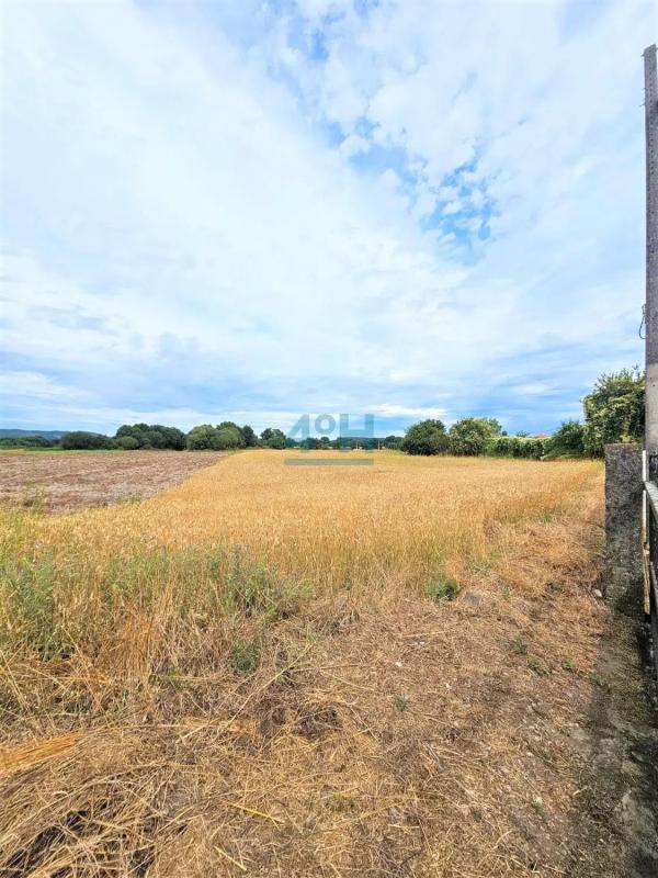 Działka na sprzedaż w Sandias, Ourense photo 2