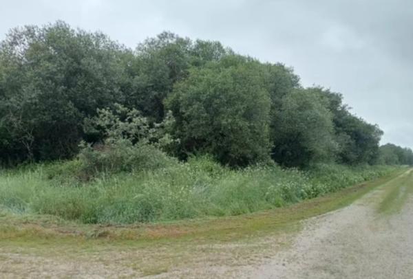 Terreno en Briallo, 32078 RefCatastralAFW photo 3