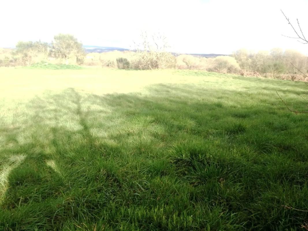 Działka na sprzedaż w Sandias, Ourense photo 3