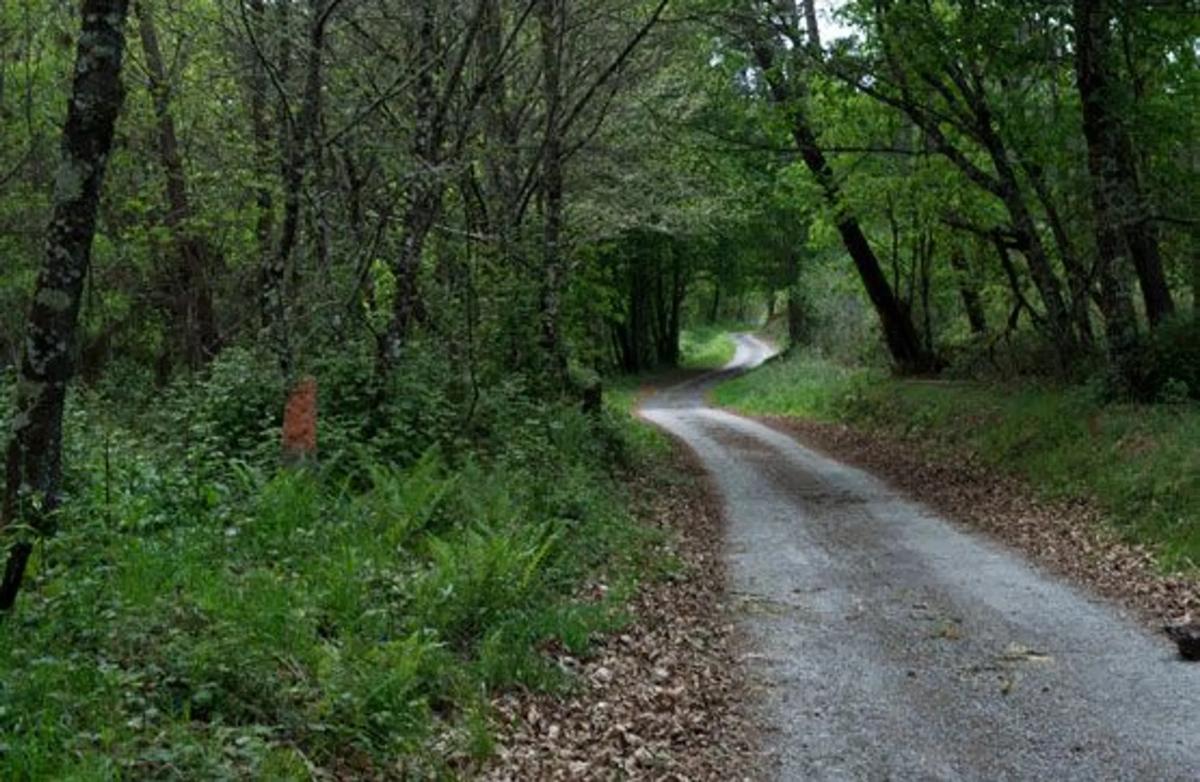 Terreno en venta en Sarreaus, Ourense photo 3