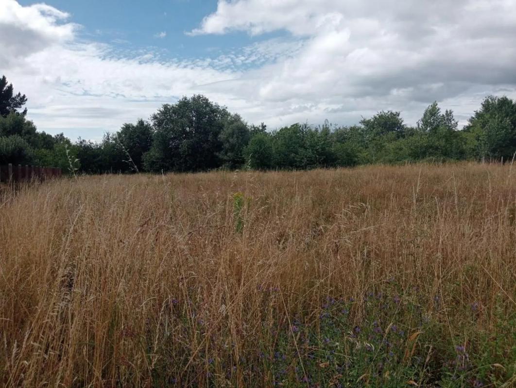 Terreno en venta en Sarreaus, Ourense photo 1