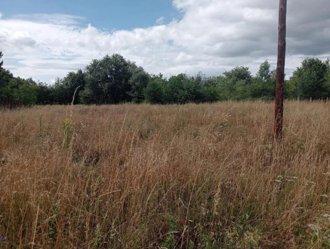 Terreno en venta en Sarreaus, Ourense photo 2