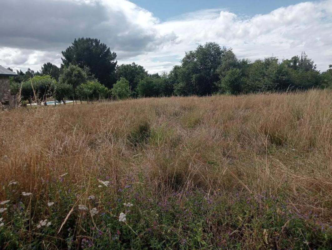 Terreno en venta en Sarreaus, Ourense photo 3