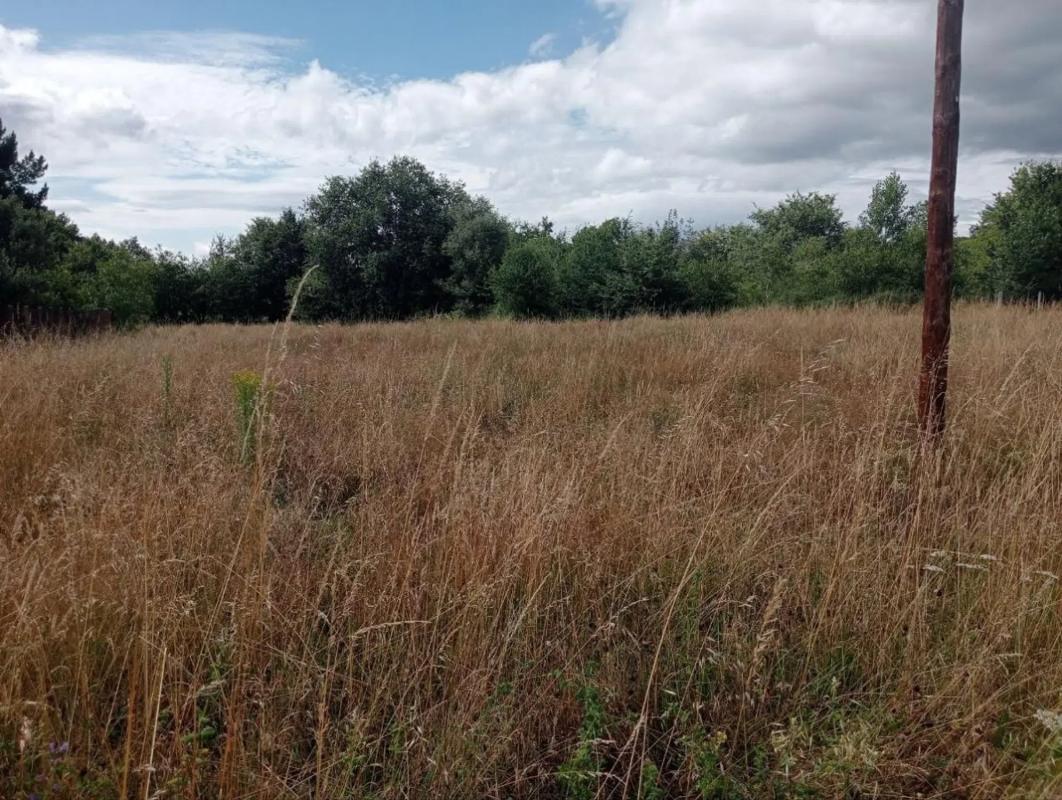 Terreno en venta en Sarreaus, Ourense photo 4