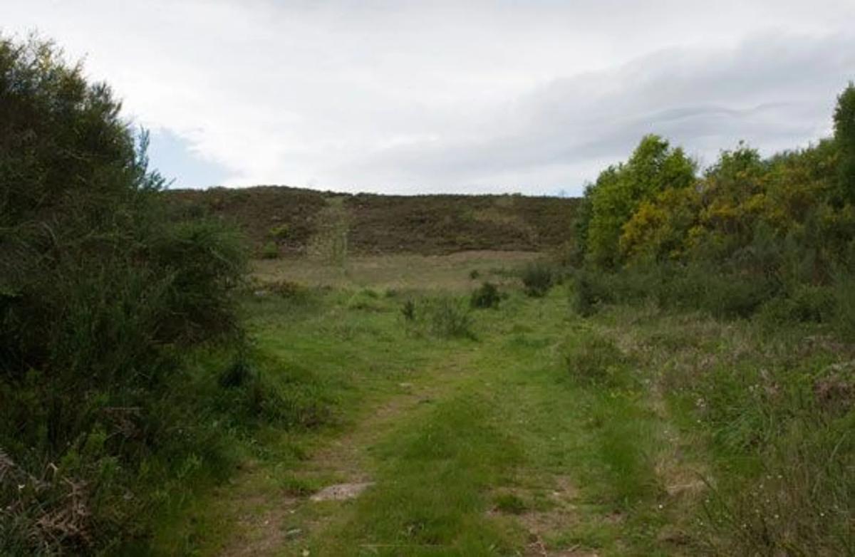 Terreno en venta en Sarreaus, Ourense photo 2